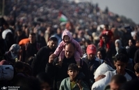 تصاویر جدید از بازگشت فلسطینی به شمال نوار غزه (5)