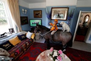 منتخب تصاویر امروز جهان- 29 خرداد