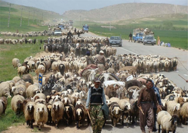 کوچ عشایر به مناطق ییلاقی چهارمحال و بختیاری آغاز شد