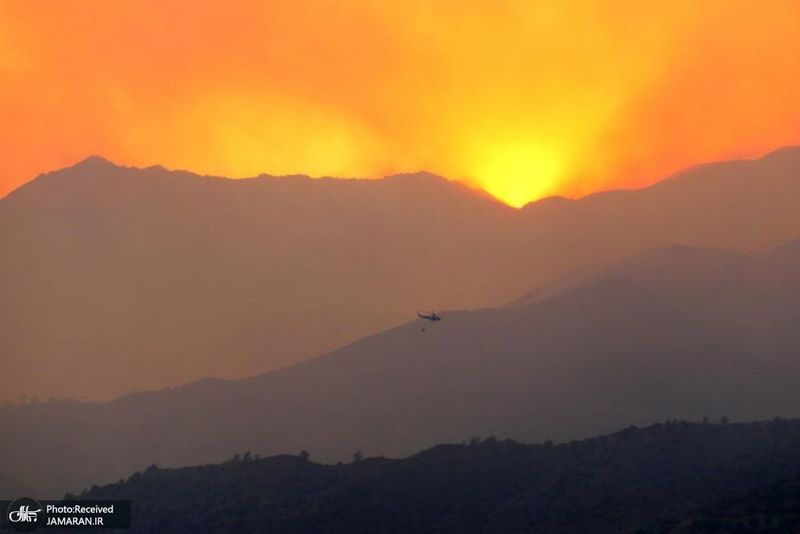 منتخب تصاویر امروز جهان- 14 تیر 1400