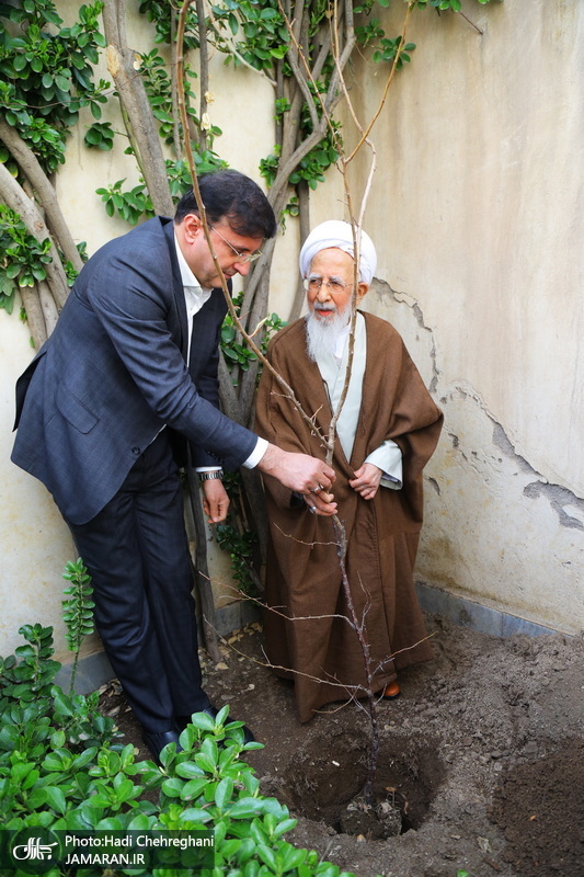 کاشت نهال توسط آیت الله العظمی جوادی آملی در هفته درختکاری