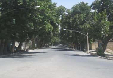نماینده مردم کرمان خواستار ثبت ملی خیابان اصلی بخش گلباف شد