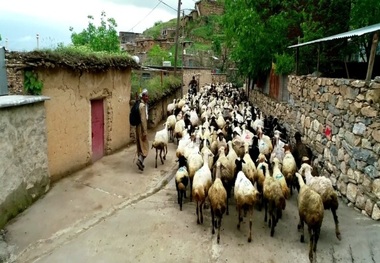 دستگاه های اجرایی البرز موظف به اشتغالزایی در روستاها شدند