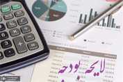 چرا کلیات لایحه بودجه ۱۴۰۵ در کمیسیون تلفیق تأیید نشد؟ تاجگردون توضیح داد