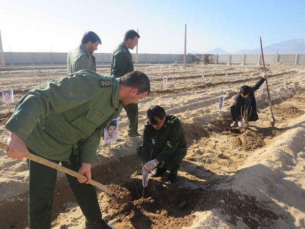 افتتاح بوستان شهید حاج قاسم سلیمانی در مهریز