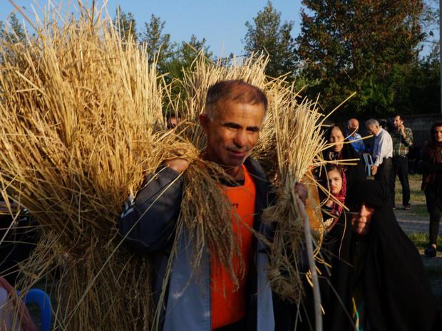 جشنواره خرمن و آیین های شادمانه در صومعه سرا