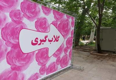 نشان حلال و گواهینامه سالم برای گلاب و عرقیات میمند، تضمینی برای توسعه صادرات