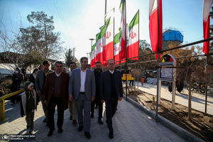 مهمانی لاله ها در قطعه شهدای بهشت زهرا