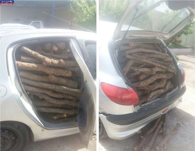 قاچاق چوب با خودروهای حامل گوشت و لبنیات در مازندران