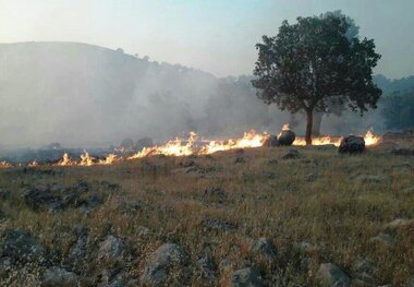 دو فقره آتش سوزی درمنطقه حفاظت شده شیرین بهار اندیکا مهار شد