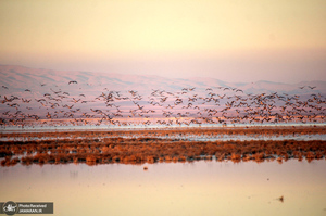 منتخب تصاویر امروز جهان- 21 خرداد 1400