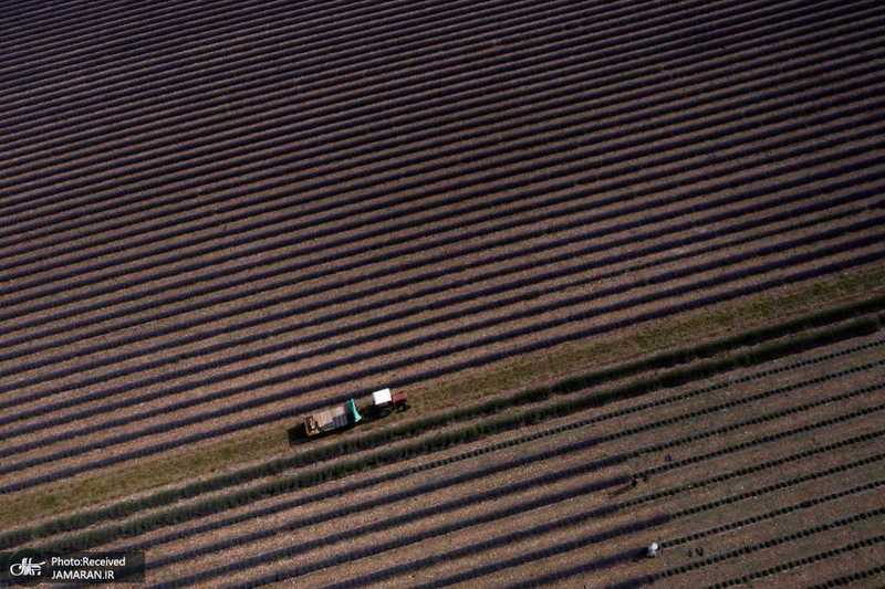 منتخب تصاویر امروز جهان- 22 تیر