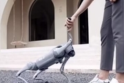 ربات سگ خانگی هم اختراع شد! /  Go2 عکاسی هم می کند