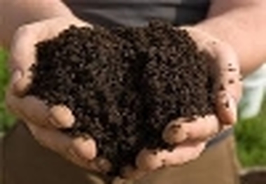 تن خاک پیت قاچاق در اردبیل کشف و ضبط شد     1.5