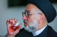 محمد علی ابطحی/ محمدعلی ابطحی