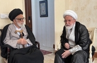 ديدار آیت‌الله سيد‌علی محقق داماد و آیت‌الله سيدمصطفی محقق داماد با حجت الاسلام و المسلمين كروبی (2)