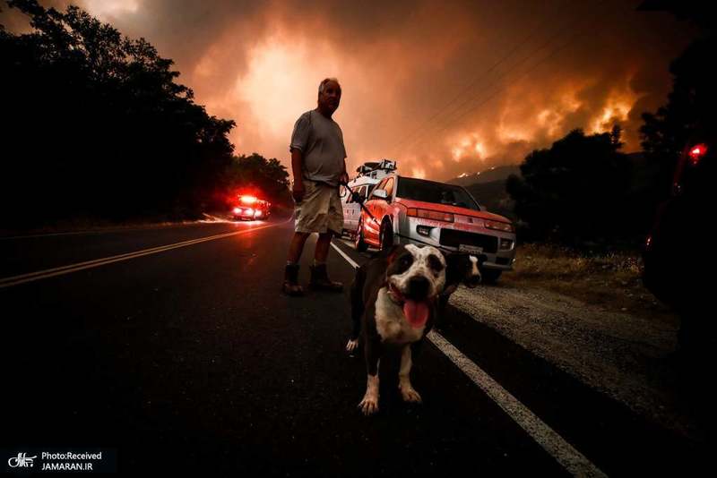 منتخب تصاویر امروز جهان- 24 مرداد