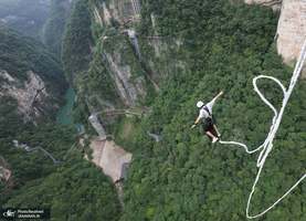 منتخب تصاویر امروز جهان- 23 تیر 1400