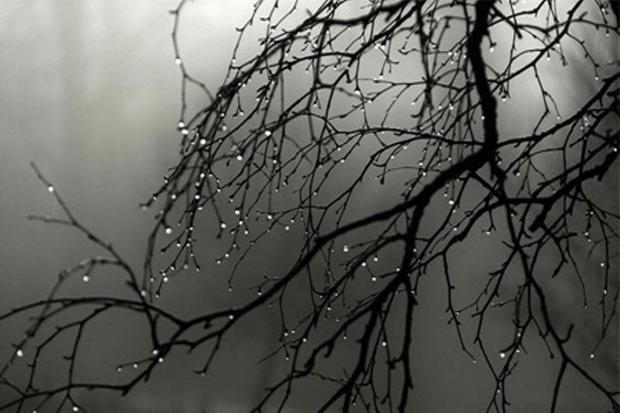 هوای استان اصفهان بارانی می شود