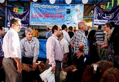 10هزار دام زنده عشایر تهران در عید قربان عرضه می شود