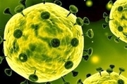 اقدام‌های پیشگرانه برای مقابله با کرونا ویروس در قصرشیرین انجام شده است