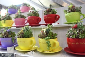 نمایشگاه گل و گیاه (70)