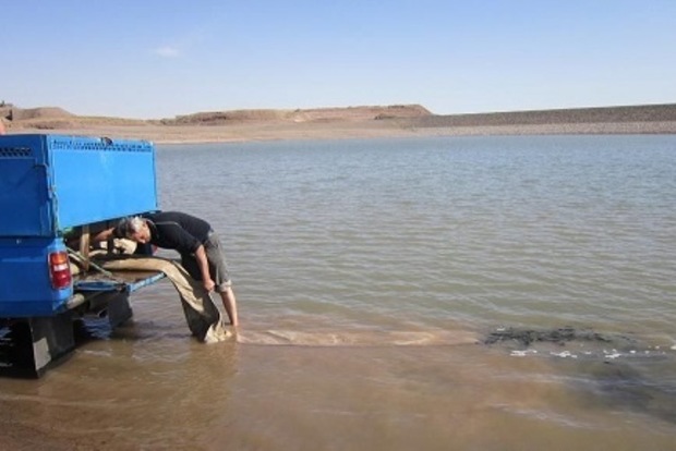 استخرهای ذخیره آب کشاورزی میانه ماهی دار شد