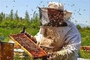 موزه عسل در اردبیل ایجاد می‌شود