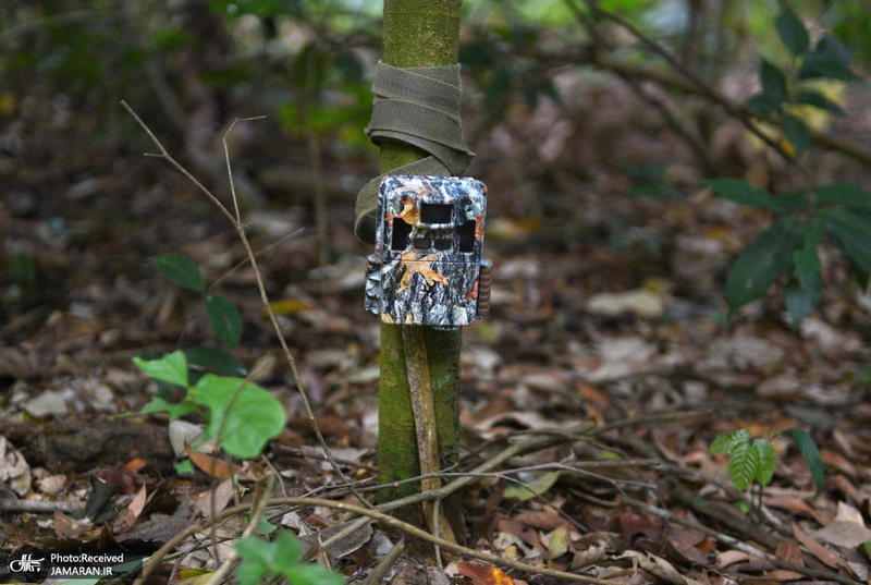 منتخب تصاویر امروز جهان- 9 تیر 1400