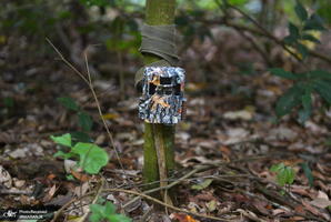 منتخب تصاویر امروز جهان- 9 تیر 1400