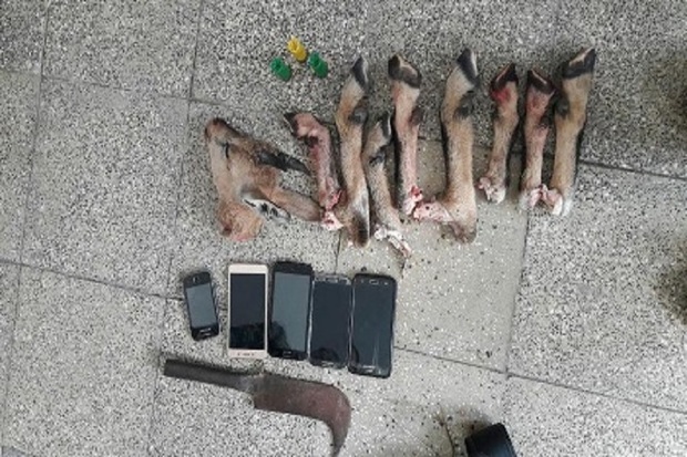 پنج شکارچی متخلف در شهرستان کوثر دستگیر شدند