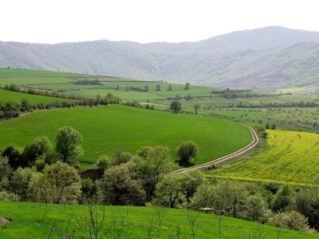 ۵۶ پرونده منابع طبیعی گلستان در حال رسیدگی قضایی است