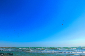 جزایر ناز یکی از عجایب هفتگانه قشم