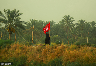 پادشاه کشور عشق
