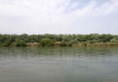آب رودخانه کن پایش زیست محیطی می‌شود