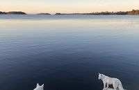 برندگان یازدهمین مسابقه عکاسی انجمن جغرافیای روسیه (10)