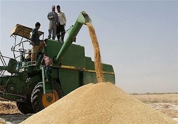 انتقال ۸۰ هزار تن گندم خوزستان به بندرعباس و چابهار