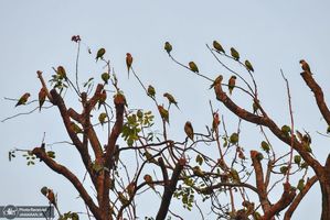 گزیده روزنامه های 10 خرداد 1400