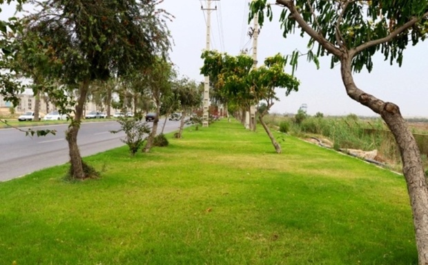 سرانه فضای سبز بوشهر رشد منفی دارد