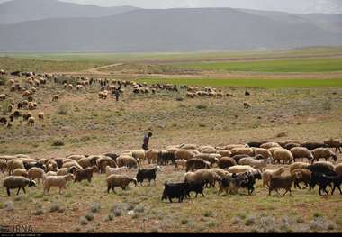 منابع طبیعی قزوین با هشت تهدید عمده روبرو است
