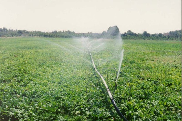 کاشت بذر امید در دل کشاورزان قزوینی توسط دولت