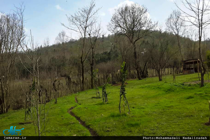 طبیعت رویایی ماسال گیلان