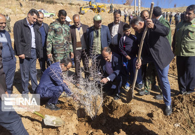 ۹۰۰هزار اصله نهال مثمر در چهارمحال وبختیاری کشت می‌شود