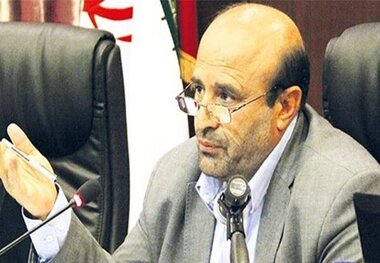 فقط خریداران سکه از بانک مرکزی مالیات می‌دهند

