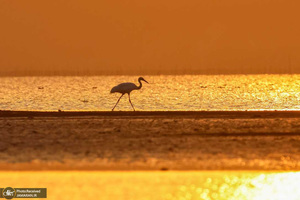 منتخب تصاویر امروز جهان - 28 اسفند 1401