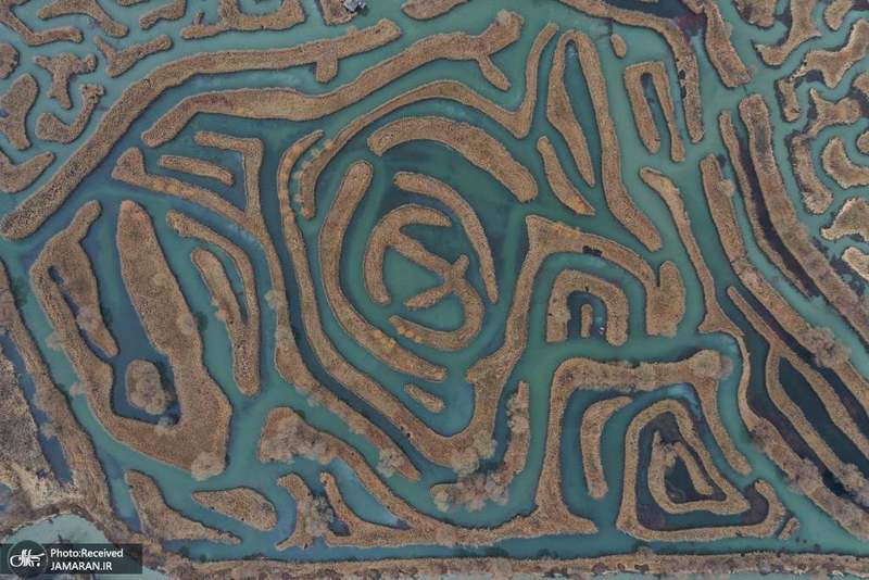 منتخب تصاویر امروز جهان- 17 دی