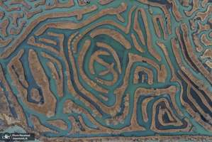 منتخب تصاویر امروز جهان- 17 دی