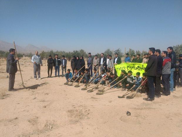 32 نهال به یاد جانباختگان سانچی در پاسارگاد کاشته شد