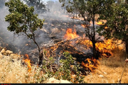 مهار آتش‌ سوزی در منطقه دو شاخ طاقبستان احتمال دخالت عوامل انسانی در ایجاد حریق