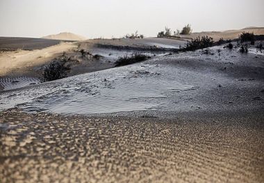 مالچ نفتی راهکار مهار گرد و غبار خوزستان نیست